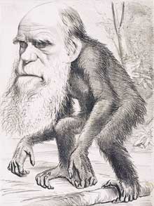Caricatura de Darwin impresa en la revista Hornet in 1872