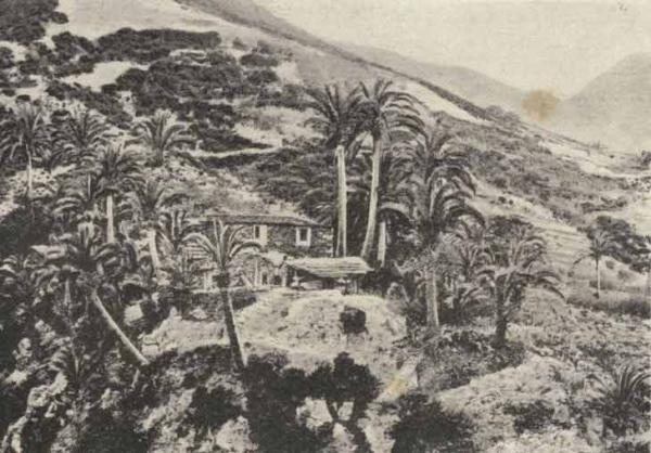 Valle Hermoso, La Gomera, 1908