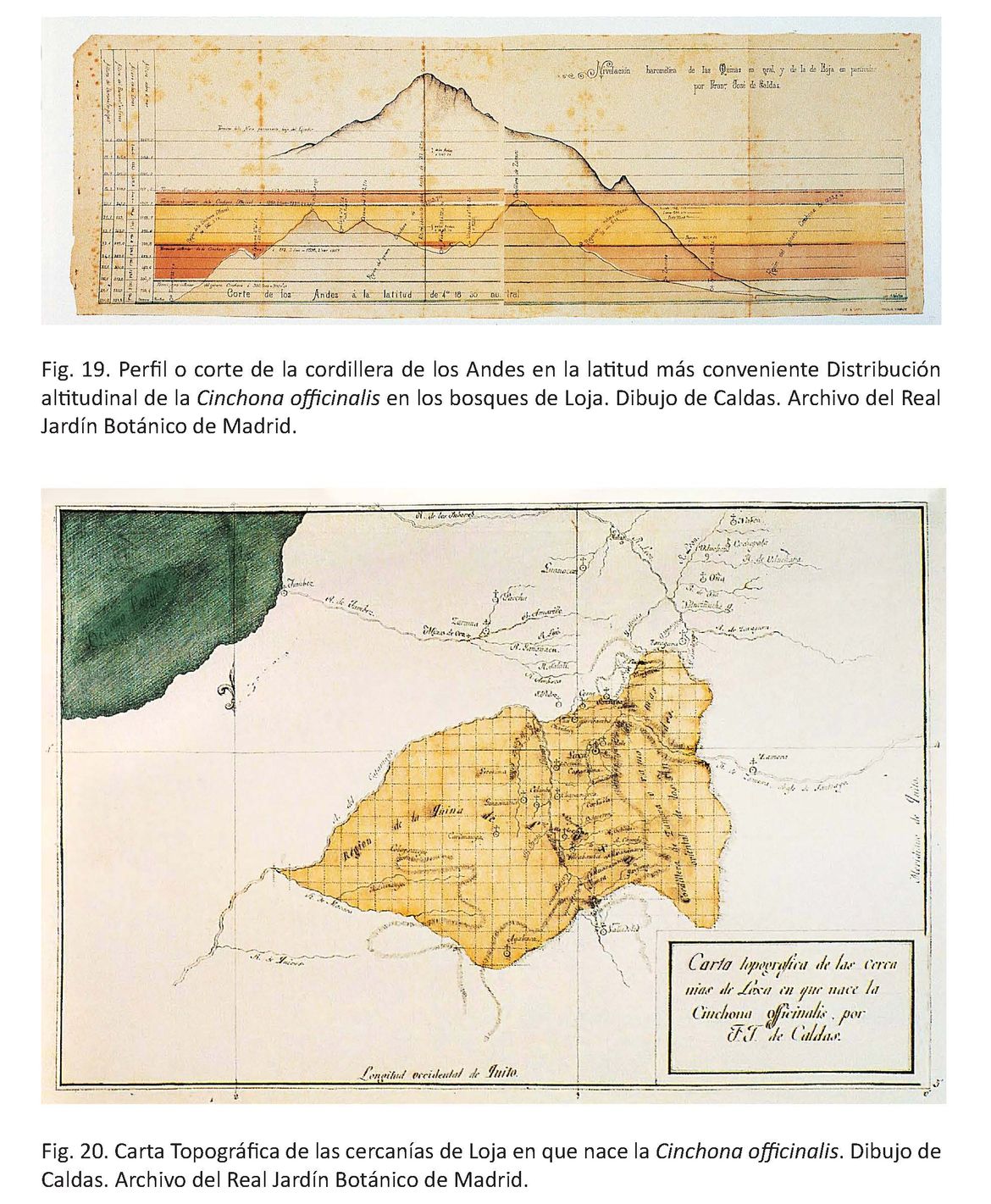 Ilustración del libro del enigma de las quinas de Joaquín Fernández - cordillera y carta topográfica