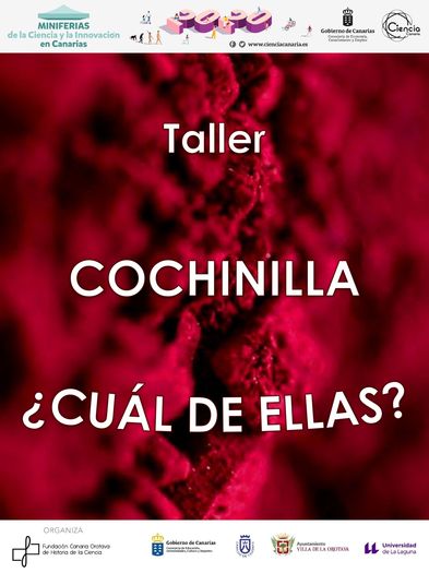 Cartel Taller La Palma by Carlos