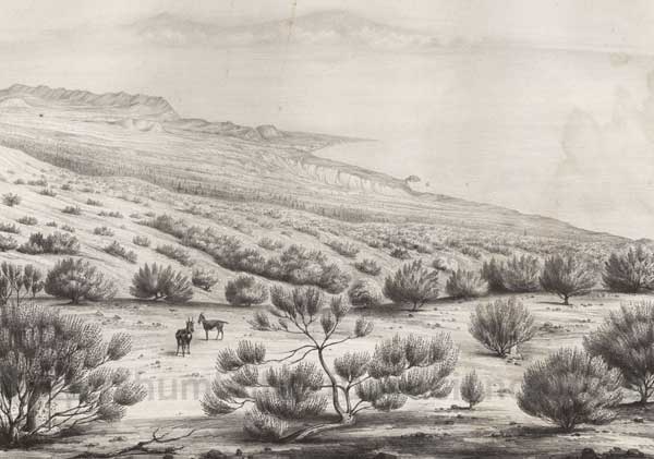 Las Cañadas, 1838