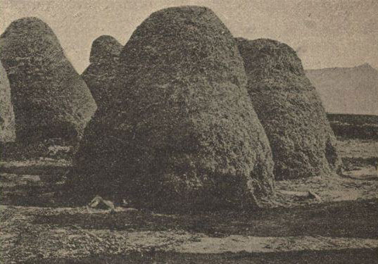 Pajeros de La Oliva, 1887
