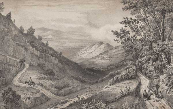 Valle de La Laaguna y Las Mercedes, Berthelot, 1839