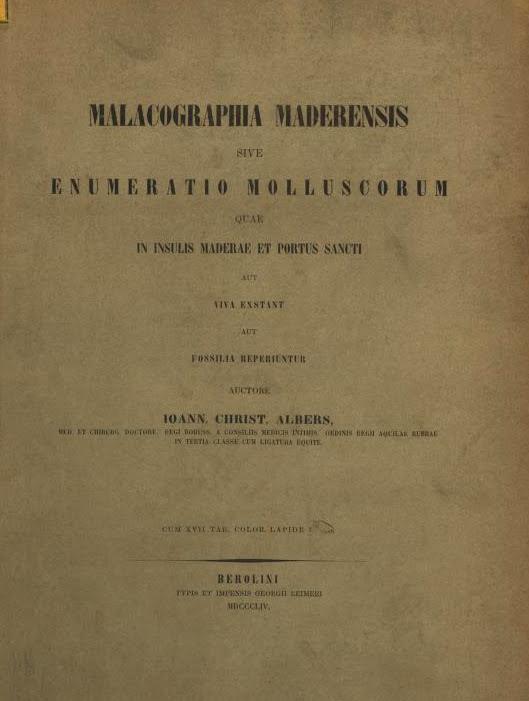 Malacogrphia maderiensis