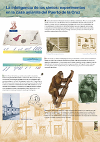 La inteligencia de  los simios: experimentos  en la Casa Amarilla  del Puerto de la Cruz