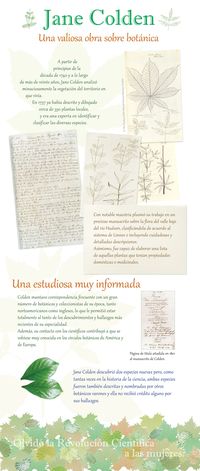 J. Colden - Una valiosa obra sobre botánica