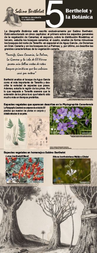 Panel Berthelot y la botánica