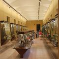 Museo Virtual de Historia Natural del IES Cabrera Pinto