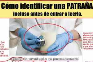Video de la conferencia “Ciencia y periodismo: herramientas contra las fake news”